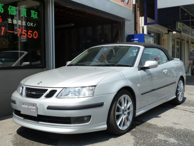 9-3(�T�[�u) �G�A���J�u���I�� ���Îԉ摜