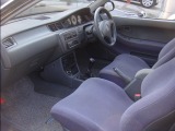 �V�{���[ �A�X�g�� ���Îԏ��F���̑�