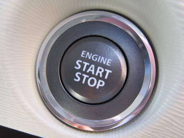 �{���{ S60�F���̑�