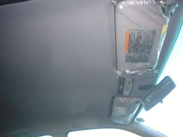 �N���C�X���[ 300 ���Îԏ��F���̑�