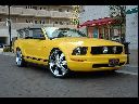 �t�H�[�h �}�X�^���O ���Îԏ�� �ڍׂ�����