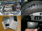 �g���^ �J���[�����S���F���̑�