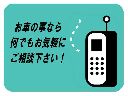 �A���t�@�����I �A���t�@156�X�|�[�c���S���F�G���W��