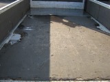 �|���V�F 911 ���Îԏ��F���̑�
