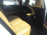 �V�{���[ �J�}�� ���Îԏ��F�G���W��