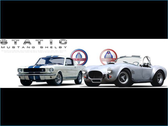�}�X�^���O���X STATIC�y�X�^�e�B�b�N�z�X�܎ʐ^