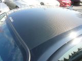 �V�{���[ �u���C�U�[ ���Îԏ��F���[�^�[