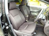�N���C�X���[ 300 ���Îԏ��F���̑�