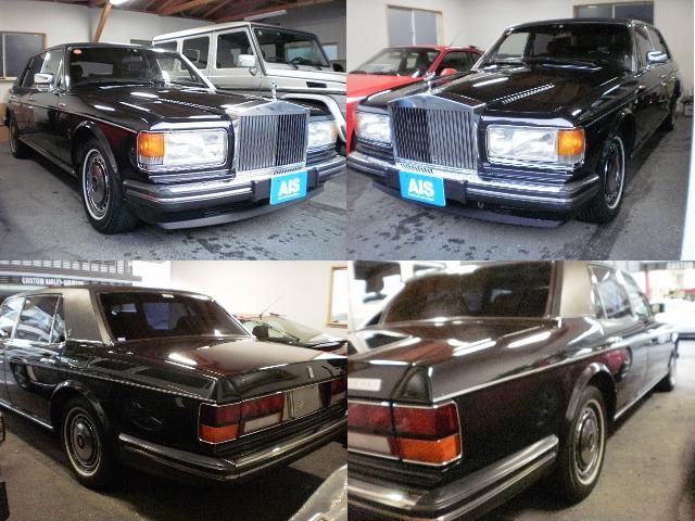 ���[���X���C�X �V���o�[�X�p�[�U ���Îԏ��F���̑�