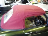 �t�F���[�� F355�X�p�C�_�[�F���̑�
