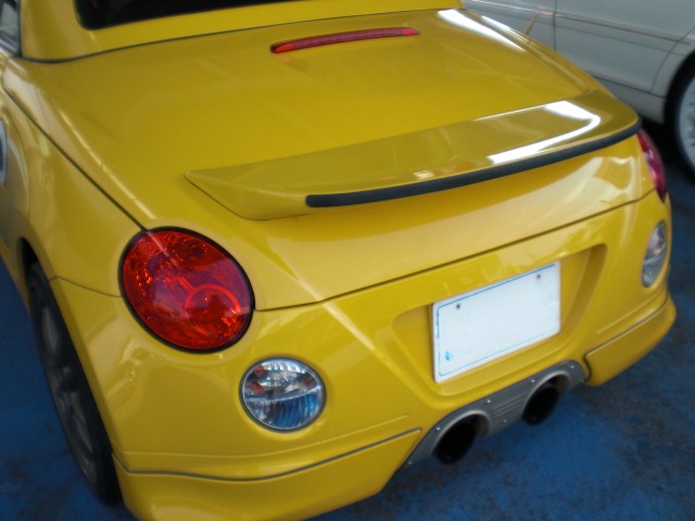 �V�{���[ �g���C���u���C�U�[ ���Îԏ��F���