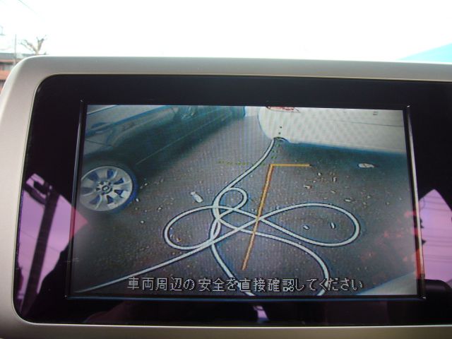 �X�Y�L �A���g���p���F���̑�