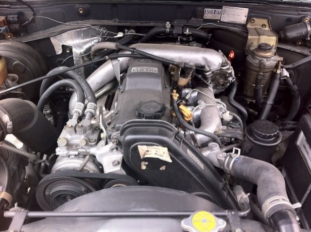 �{���{ S40�F���̑�