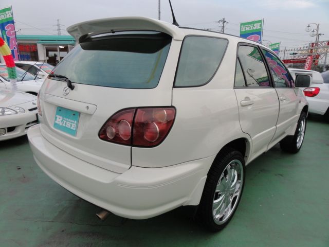 �t�H���N�X���[�Q�� �S���t���S�� ���Îԏ��F���