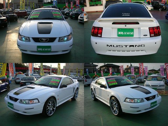 �z���_ �N���X���[�h�F���[�^�[