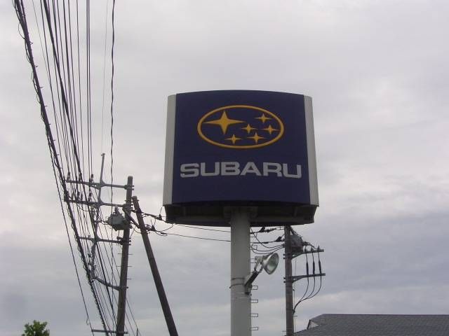 �t�H�[�h �}�X�^���O�F����