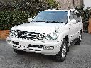 �g���^ �����h�N���[�U�[ �V�O�i�X ���Îԏ�� �ڍׂ�����