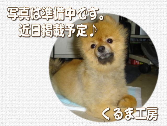 スバル プレオ LS