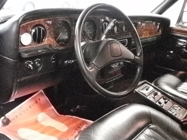 ���[���X���C�X �V���o�[�X�p�[�U ���Îԏ��F����