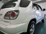 �g���^ �A���X�g�F���̑�