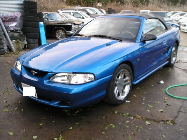 �t�H�[�h �}�X�^���O ���Îԏ��F���C��