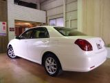 �g���^ �}�[�N�U�N�I���X ���Îԏ��F���̑�