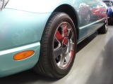 �t�F���[�� F355�X�p�C�_�[�F���̑�
