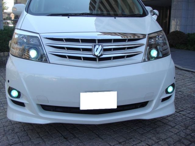 �t�H�[�h �}�X�^���O ���Îԏ��F���̑�