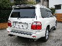 �g���^ �����h�N���[�U�[ �V�O�i�X�F���