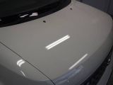 BMW 320i�F����