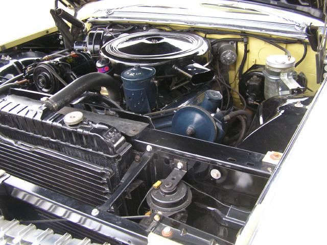 �t�F���[�� F355B�F���̑�