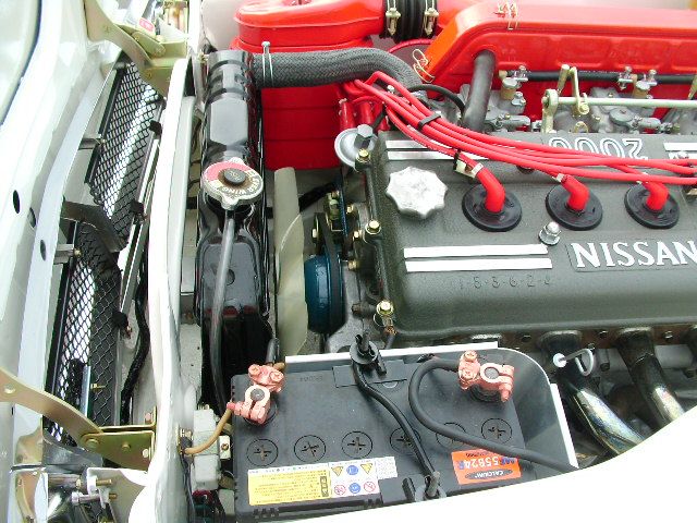 �j�b�T�� �X�J�C���C�� GT-R ���Îԏ��F���̑�