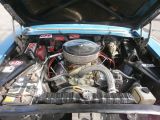 �L���f���b�N �t���[�g�E�b�h�F���̑�