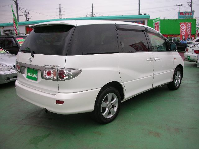 �g���^ �G�X�e�B�}�n�C�u���b�h ���Îԏ��F���