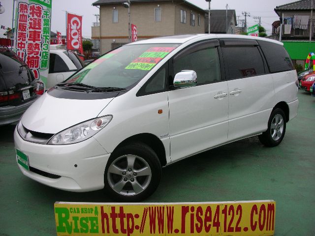 �g���^ �G�X�e�B�}�n�C�u���b�h ���Îԏ��F���C��