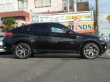 �g���^ �N���E���}�W�F�X�^ ���Îԏ��F���̑�