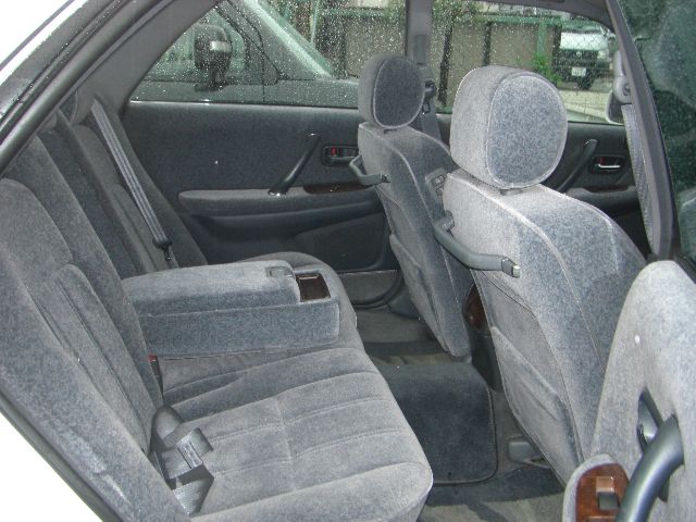 �g���^ �N���E�� ���Îԏ��F���̑�