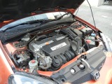 BMW Z4�F���̑�