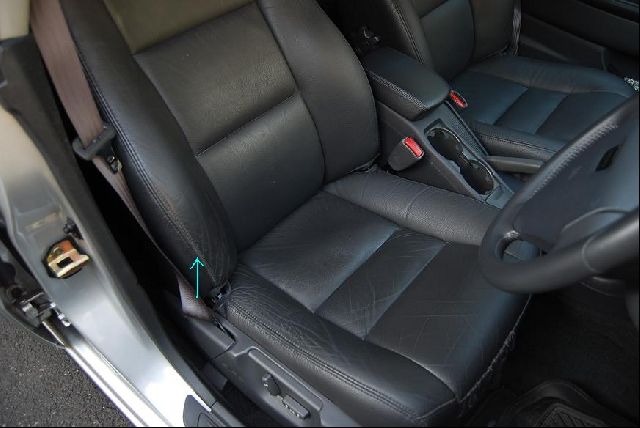 �V�{���[ �A�X�g�� ���Îԏ��F���̑�