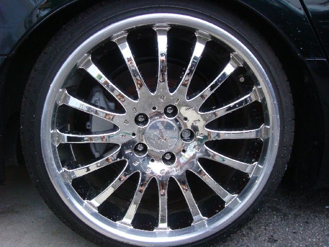 �g���^ �Z���V�I ���Îԏ��F���̑�