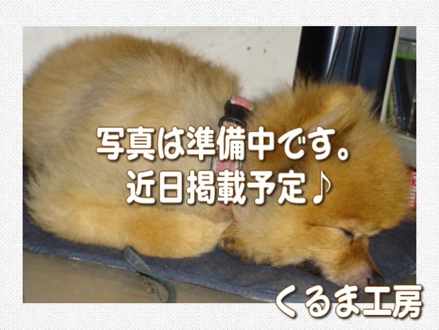 �t�H���N�X���[�Q�� �^�C�v�T ���Îԏ��F���̑�