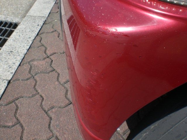 �t�H���N�X���[�Q�� �|���F���̑�