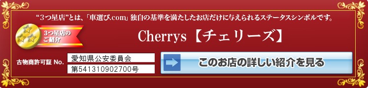 �T�[�u 9-3 ���Îԏ��F���̑�