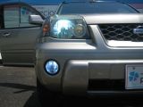 �V�g���G�� �N�T�� ���Îԏ�� �ڍׂ�����