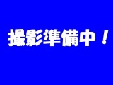 ランドローバー レンジローバー 4.6ヴォーグ