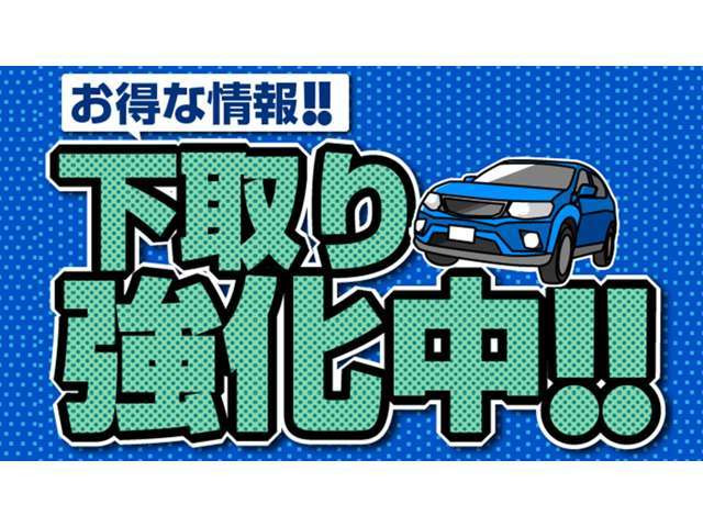 千葉県 印西市の中古車販売店 シェックトレーディング 中古車情報 中古車検索なら 車選びドットコム 車選び Com