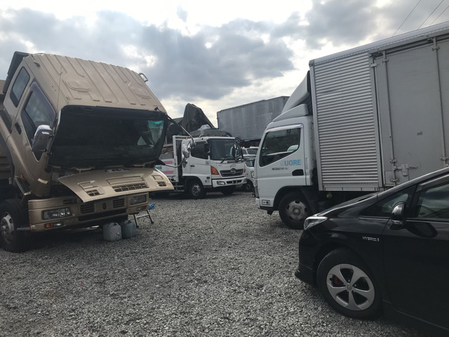 神奈川県 茅ヶ崎市の中古車販売店 株 プロシード ジャパン 中古車情報 中古車検索なら 車選びドットコム 車選び Com