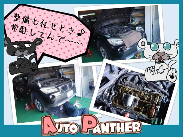 AUTO PANTHER