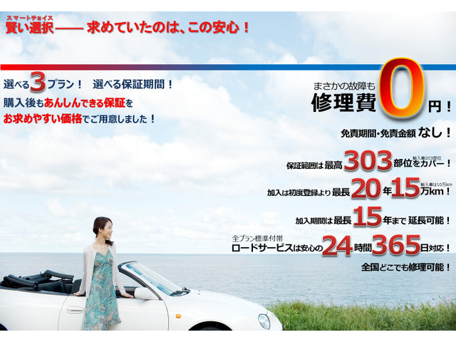Auto Lion