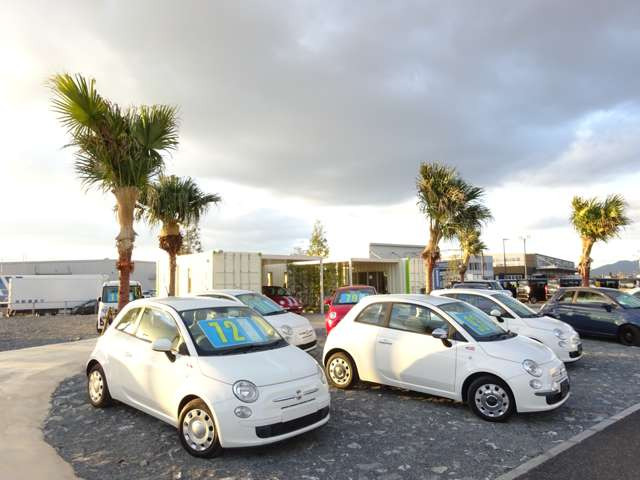 今村自動車株式会社エムステーション